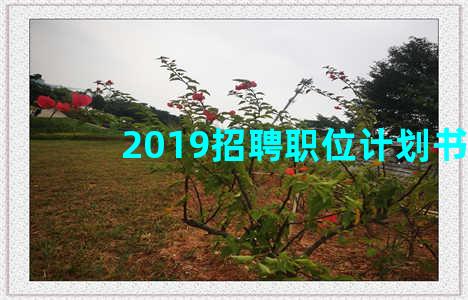 2019招聘职位计划书