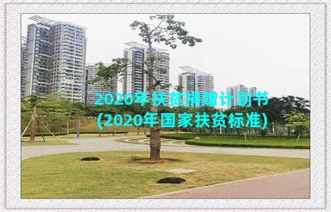 2020年扶贫捐赠计划书(2020年国家扶贫标准)