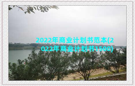 2022年商业计划书范本(2022年商业计划书1500)