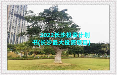 2022长沙投资计划书(长沙最大投资项目)