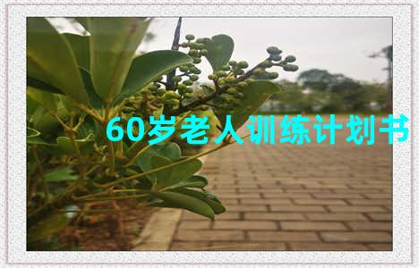 60岁老人训练计划书