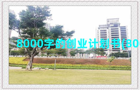 8000字的创业计划书(8000元创业)