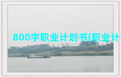 800字职业计划书(职业计划150字)