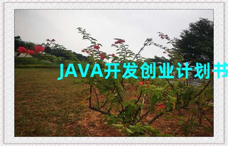 JAVA开发创业计划书