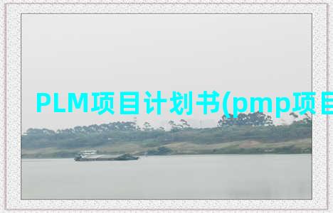 PLM项目计划书(pmp项目规划过程)