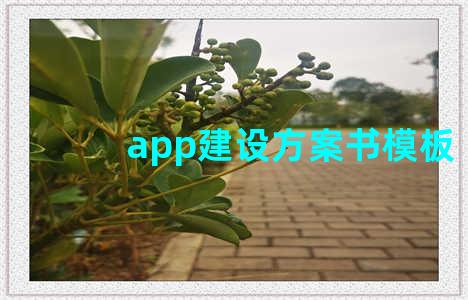 app建设方案书模板