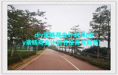 diy蛋糕商业计划书(diy蛋糕商业计划书投资与财务)