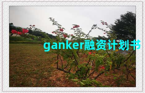 ganker融资计划书