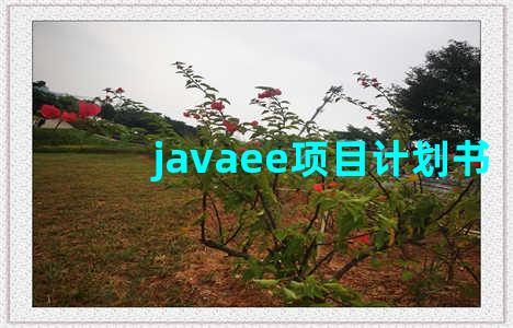 javaee项目计划书