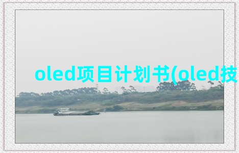 oled项目计划书(oled技术路线)