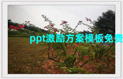 ppt激励方案模板免费