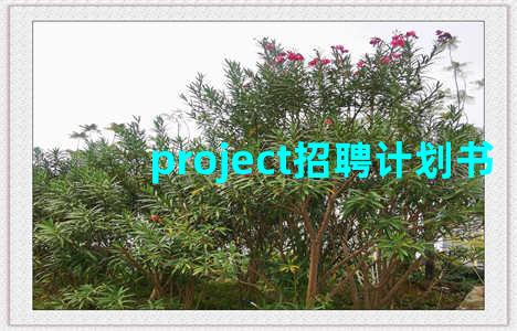 project招聘计划书