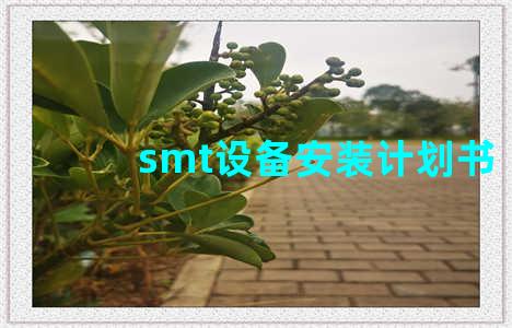 smt设备安装计划书