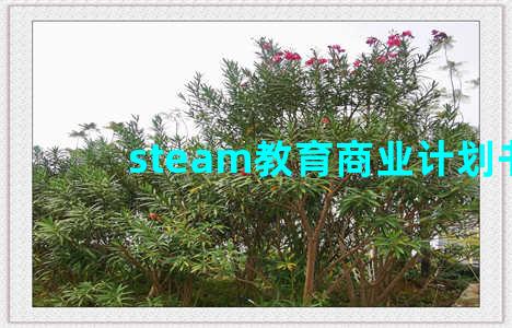 steam教育商业计划书