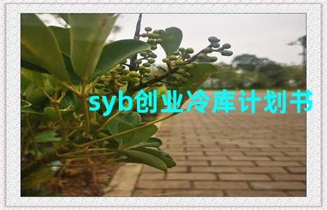 syb创业冷库计划书