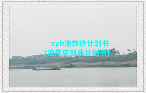 syb油炸店计划书(油炸店创业计划书)