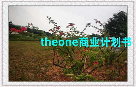 theone商业计划书