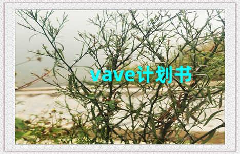 vave计划书