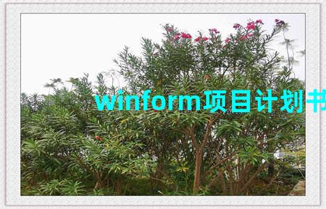 winform项目计划书