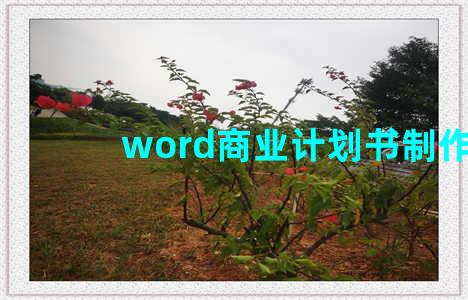 word商业计划书制作