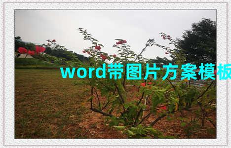 word带图片方案模板