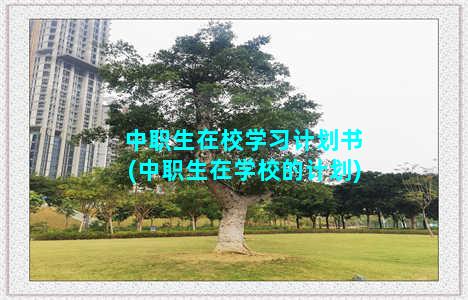 中职生在校学习计划书(中职生在学校的计划)