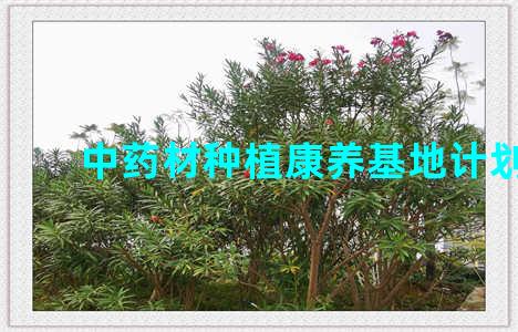 中药材种植康养基地计划书