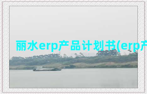 丽水erp产品计划书(erp产品设计)