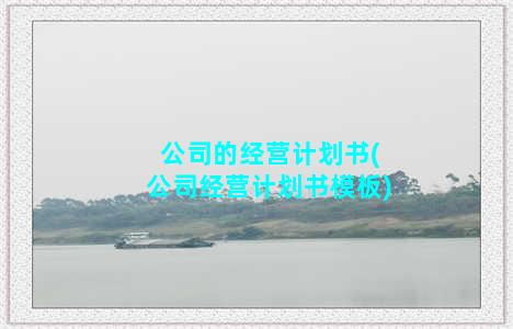 公司的经营计划书(公司经营计划书模板)