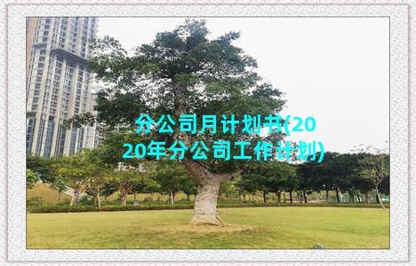 分公司月计划书(2020年分公司工作计划)