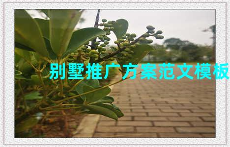 别墅推广方案范文模板