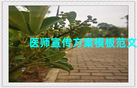 医师宣传方案模板范文