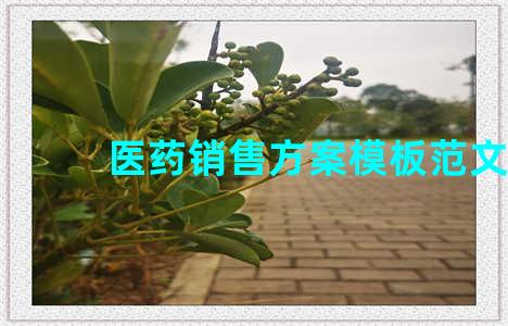 医药销售方案模板范文