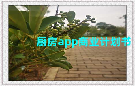 厨房app商业计划书