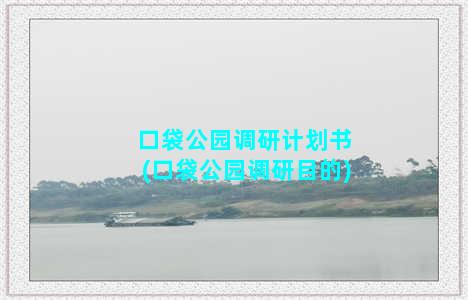 口袋公园调研计划书(口袋公园调研目的)