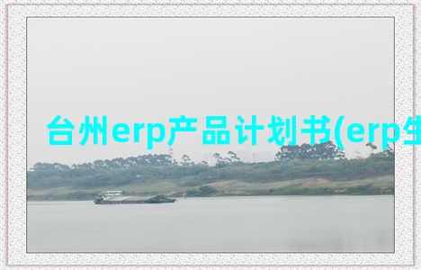 台州erp产品计划书(erp生产产品)