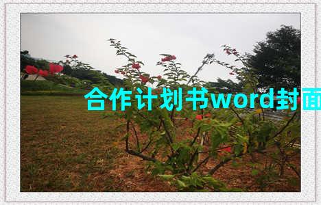 合作计划书word封面