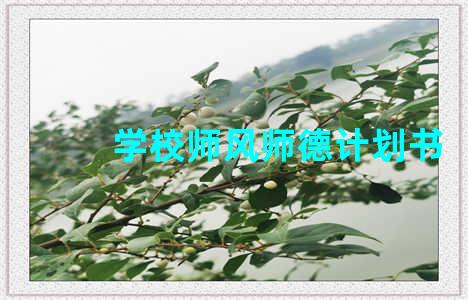 学校师风师德计划书