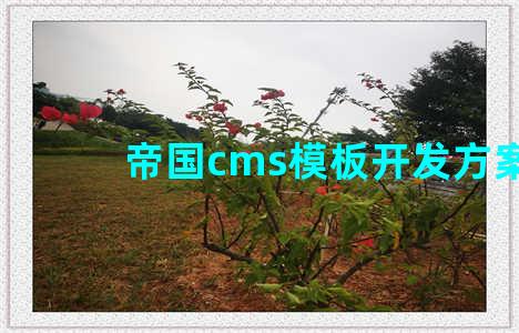 帝国cms模板开发方案