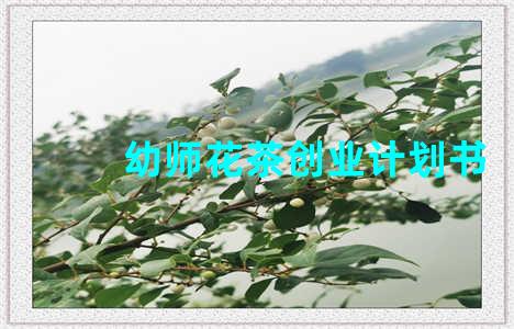 幼师花茶创业计划书