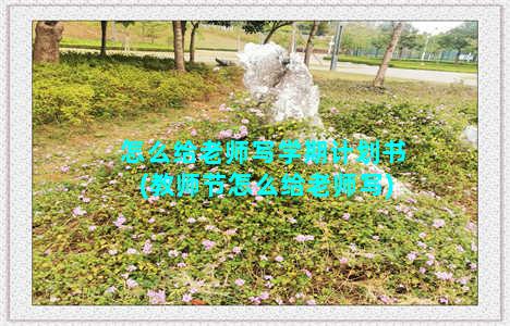 怎么给老师写学期计划书(教师节怎么给老师写)