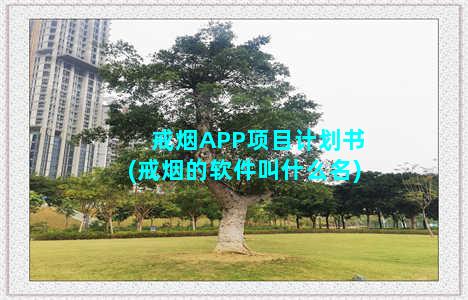 戒烟APP项目计划书(戒烟的软件叫什么名)