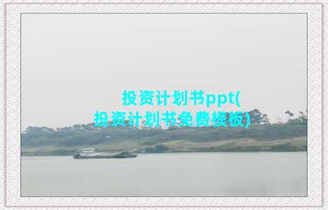 投资计划书ppt(投资计划书免费模板)