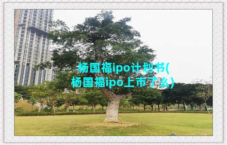 杨国福ipo计划书(杨国福ipo上市了么)