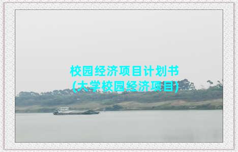 校园经济项目计划书(大学校园经济项目)