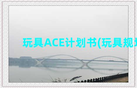 玩具ACE计划书(玩具规划书)