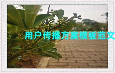 用户传播方案模板范文