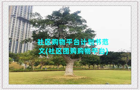 社区购物平台计划书范文(社区团购购物平台)