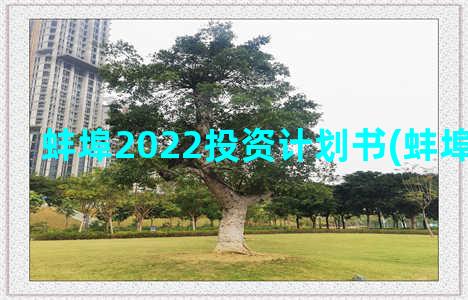 蚌埠2022投资计划书(蚌埠2021项目)