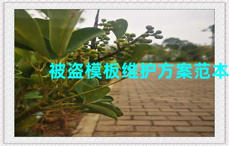 被盗模板维护方案范本